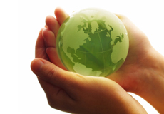 a hand holding a globe