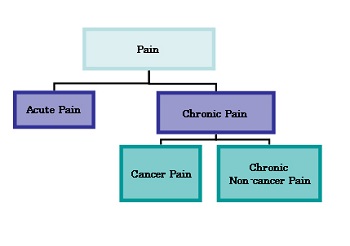 pain chart 